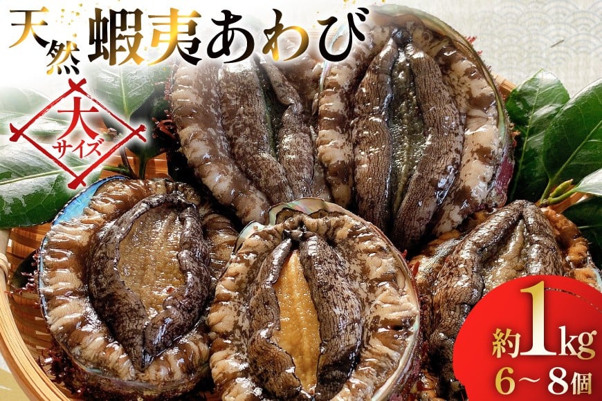 アワビ 鮑 天然 蝦夷あわび パック 約1kg [たみこの海パック 宮城県 南三陸町 m304amh560080] 冷凍 セット 高級 豪華 海鮮
