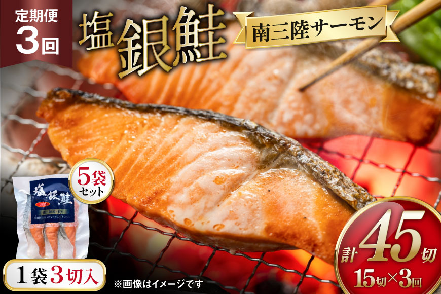3回 定期便 塩銀鮭パック 3切×5袋×3回 総計15袋 [たみこの海パック 宮城県 南三陸町 m304amh560085] 鮭 切り身 サーモン 銀鮭 塩銀鮭 シャケ 切身 さけ サケ 国産 小分け 個包装 冷凍