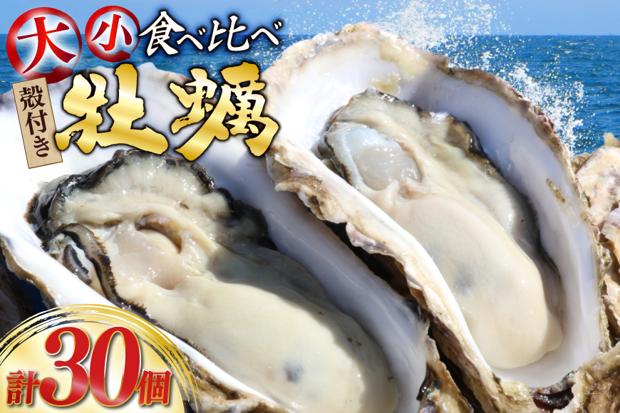 【期間限定発送】 殻付き 牡蠣 計30個 2種(三陸ジオイスター ＆ OMAKI ) 食べ比べ セット 各15個 牡蠣ナイフ付 [Geoyst 宮城県 南三陸町 m304bdz670000] かき カキ オイスター 生牡蠣 真牡蠣