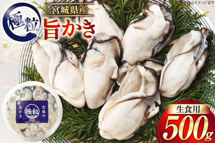 【期間限定発送】 宮城県産 むき身 極粒旨かき 生食用 500g ×1p[丸壽阿部商店 宮城県 南三陸町 m304bir010001] かき カキ 牡蠣 生牡蠣 貝 魚介類 剥き身 むき身 殻なし 冷蔵 新鮮 なべ カキフライ 牡蠣ご飯 濃厚