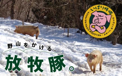 [定期便 3か月連続]発酵飼料で育つ!「いばり仔豚」ロース、バラ、もも、カタスライス各250g 計1kg