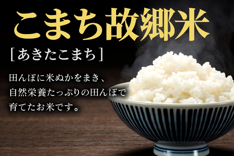 米 こまち故郷米 ＜ あきたこまち ＞ 白米 5kg ×1袋 令和7年産