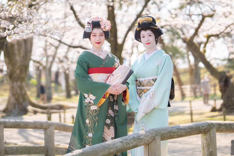 あきた舞妓と街歩きプラン 1グループご招待(2～9名様)