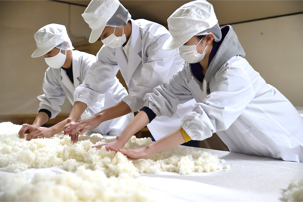 日本酒 銀鱗 ぎんりん 純米吟醸  究（KIWAMU）720ml×1本