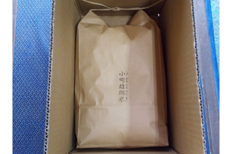 米 こまち故郷米 ＜ あきたこまち ＞ 白米 10kg (5kg×2袋) 令和7年産 新米