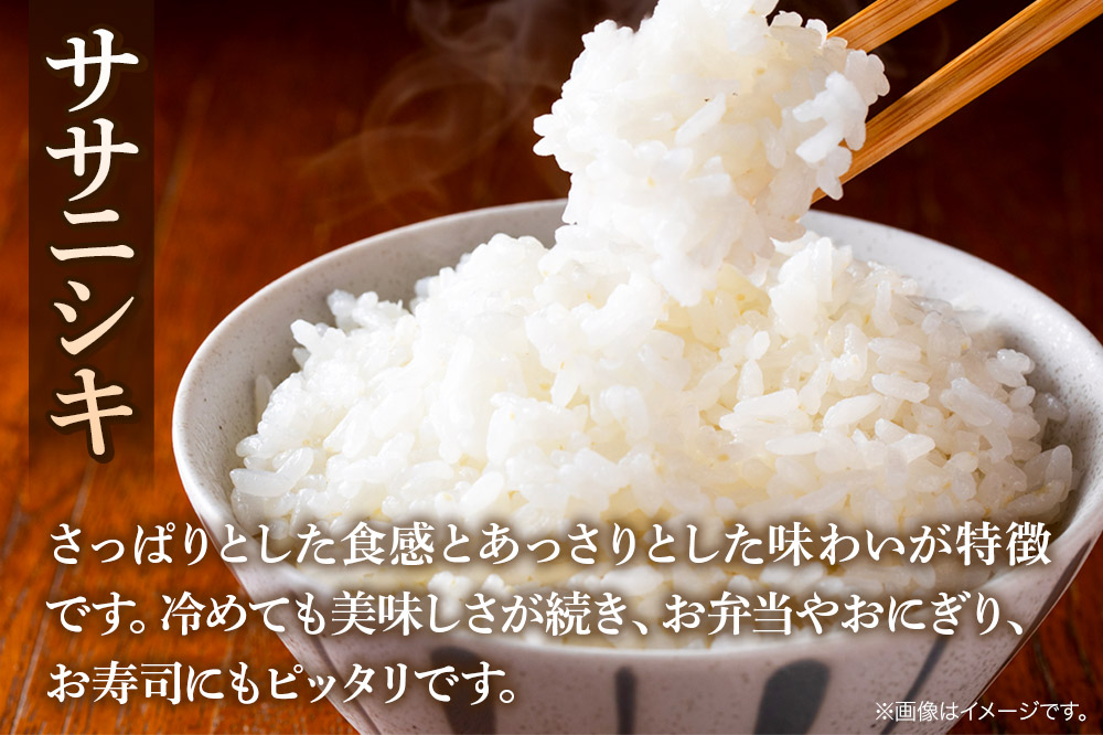 令和7年産 秋田県 秋田市産 ササニシキ 精米 10kg(5kg×2袋)  白米 米