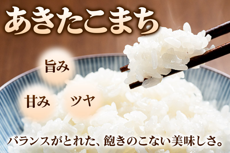 米 あきたこまち 5kg 令和7年産 新米 白米 田口商店 農家直送 秋田県産