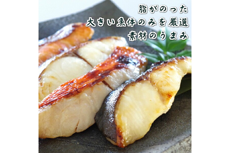 魚邑 漬け魚5種10枚 (銀たらの西京漬 銀鮭の粕味噌漬 鰆の西京漬 銀ひらすの西京漬 赤魚の粕味噌漬)