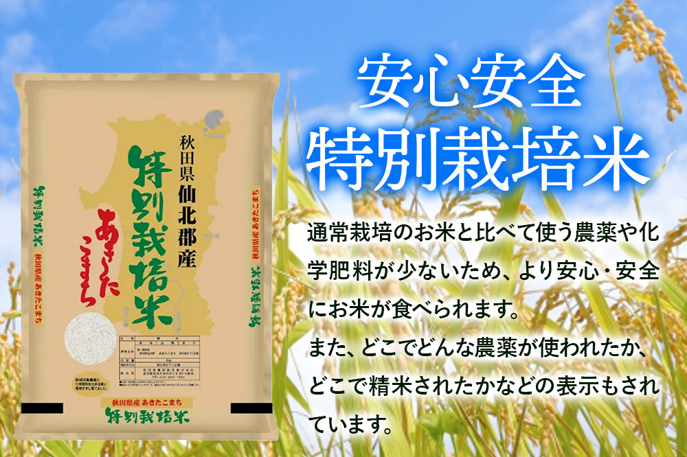 令和7年産 秋田県産特別栽培あきたこまち 2kg