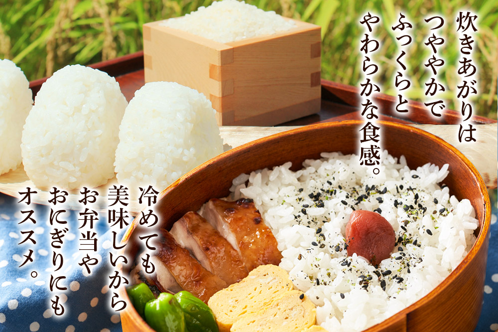 《令和7年産 新米》 米 あきたこまち 30kg（5kg×6袋） 【無洗米】 秋田県産