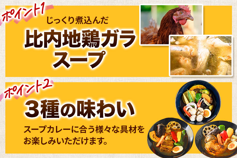 カレー 比内地鶏仕込みのスープカレー レンジパウチ 3種 食べ比べセット （鶏レッグ ・ 角煮 ・ シーフード × 各1食分）