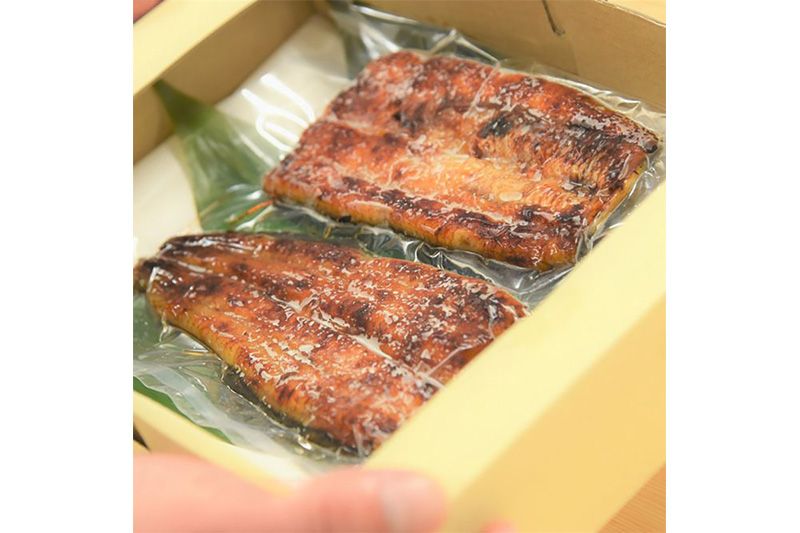 うなぎ うなぎ蒲焼き 160～200g× 1尾 (タレ・山椒付き) 仕出しのせきや 鰻 土用の丑の日 国産