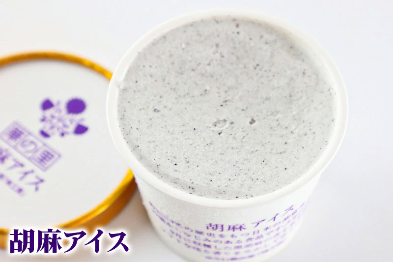 アイスクリーム詰め合わせ 6個入り 3種(こまちアイス パンプキンアイス 胡麻アイス)