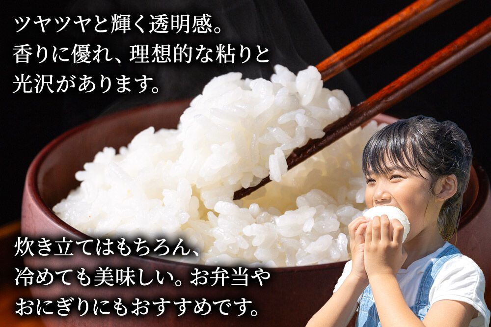 米《定期便6ヶ月》あきたこまち【無洗米】 米どころ秋田県産 令和7年産 精米 20kg（5kg×4袋） [米 お米 こめ 無洗米 精米 あきたこまち ブランド米 小分け ご飯 ごはん 米どころ 秋田県産 5kg袋]