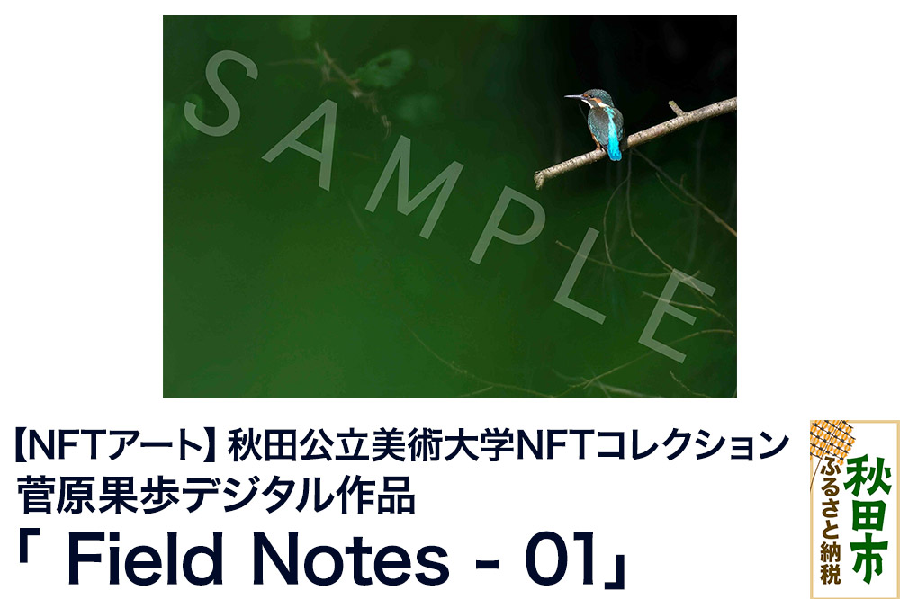 【NFTアート】《秋田公立美術大学NFTコレクション》鳥類を対象にフィールドワークや撮影を続ける菅原果歩デジタル作品「Field Notes - 01」