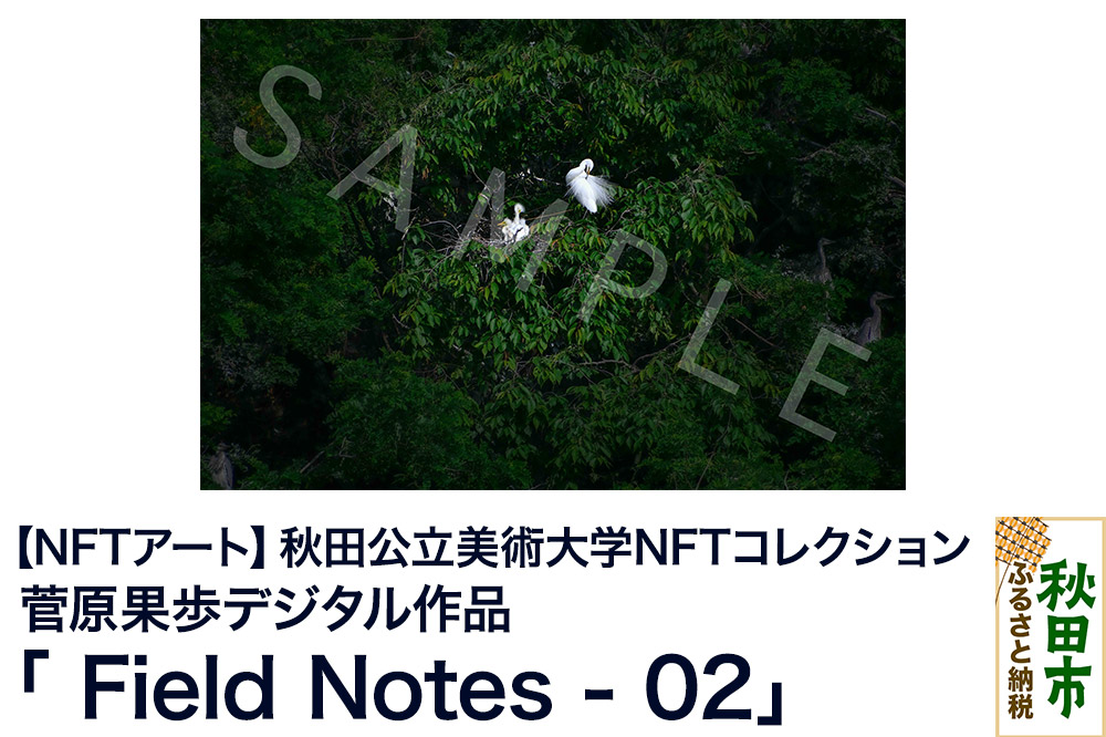 【NFTアート】《秋田公立美術大学NFTコレクション》鳥類を対象にフィールドワークや撮影を続ける菅原果歩デジタル作品「Field Notes - 02」