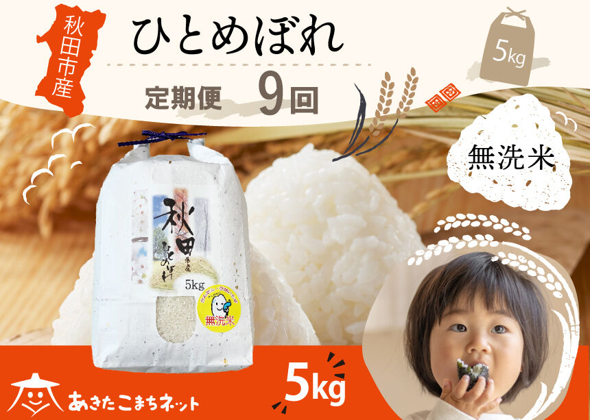 《定期便9ヶ月》ひとめぼれ 5kg 【無洗米】秋田市産 [秋田県産 ひとめぼれ お米 精米 定期便 5kg 5キロ]