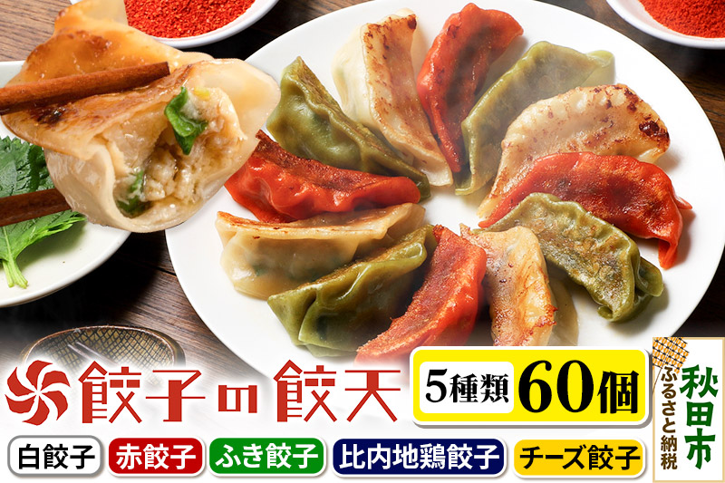 5種餃子 60個詰合せ 餃子の餃天 化学調味料無添加