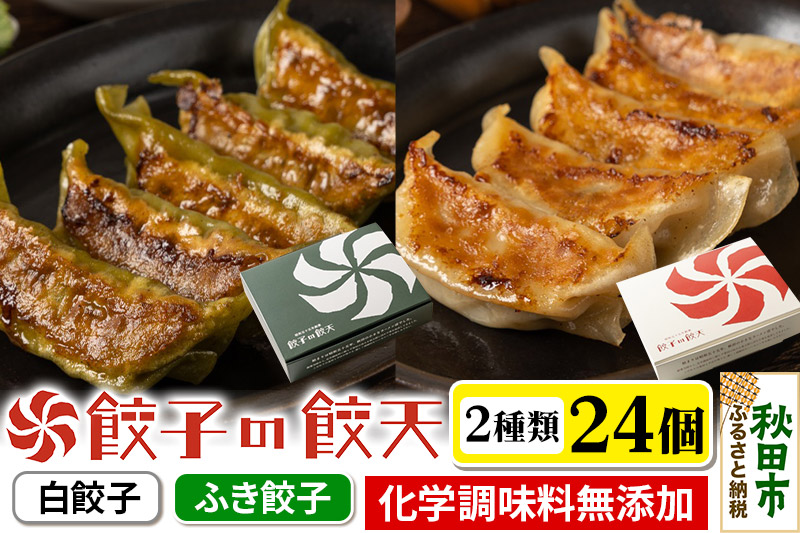 至福の白餃子・新緑のふき餃子 24個詰合せ 餃子の餃天 化学調味料無添加