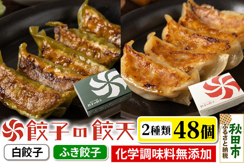 至福の白餃子・新緑のふき餃子 48個詰合せ 餃子の餃天 化学調味料無添加