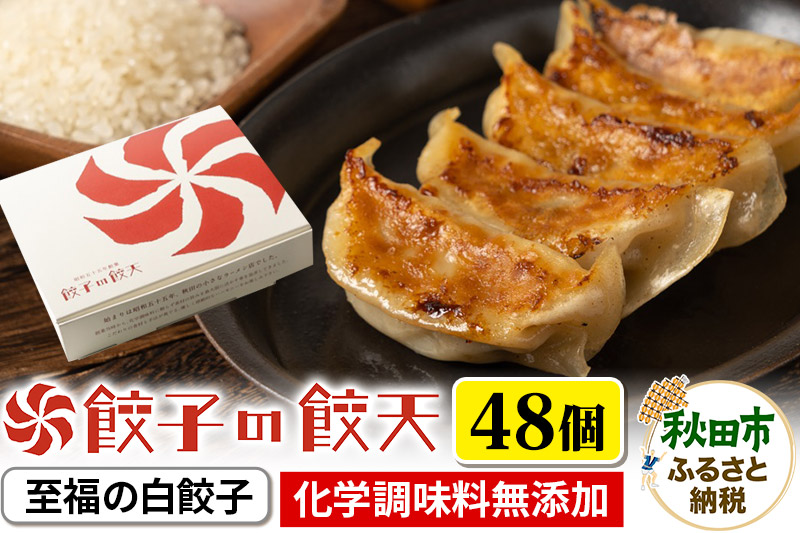 至福の白餃子 48個詰合せ 餃子の餃天 化学調味料無添加