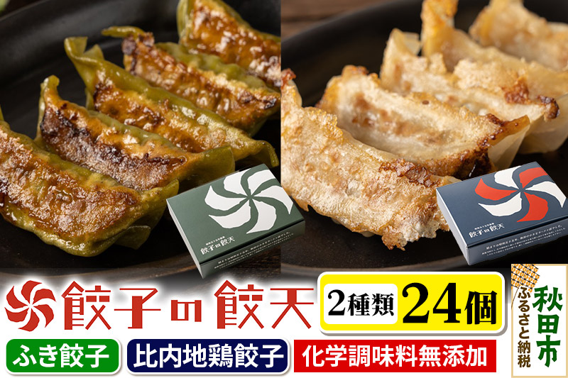 比内地鶏餃子・新緑のふき餃子 24個詰合せ 餃子の餃天 化学調味料無添加