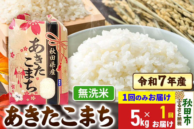 あきたこまち 5kg 令和7年産 【1回のみお届け】【無洗米】秋田県産