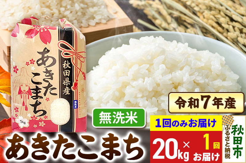 あきたこまち 20kg(5kg×4袋) 【1回のみお届け】 令和7年産 【無洗米】秋田県産