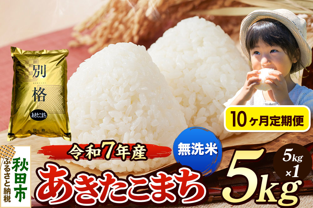《令和7年産 新米》《定期便10ヶ月》 米 あきたこまち 5kg 【無洗米】 秋田県産