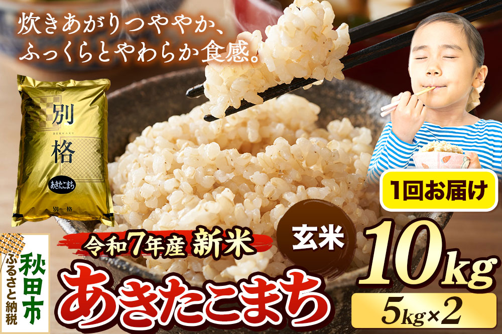 《令和7年産 新米》 米 あきたこまち 10kg（5kg×2袋） 【玄米】 秋田県産