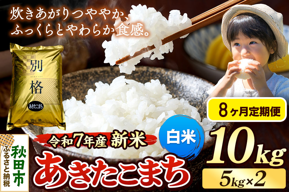 《令和7年産 新米》《定期便8ヶ月》 米 あきたこまち 10kg（5kg×2袋） 【白米】 秋田県産