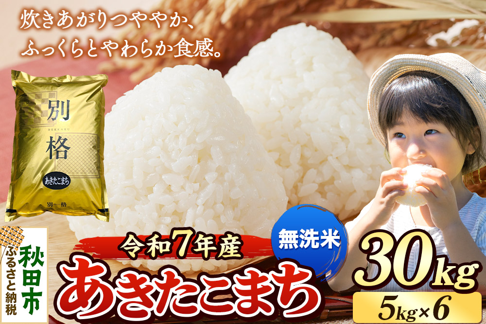 《令和7年産 新米》 米 あきたこまち 30kg（5kg×6袋） 【無洗米】 秋田県産