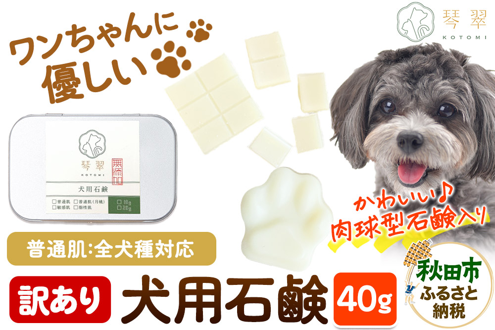 【訳あり】ルベール の 犬用石鹸 【普通肌】 40g 肉球型石鹸入り クロネコゆうパケット