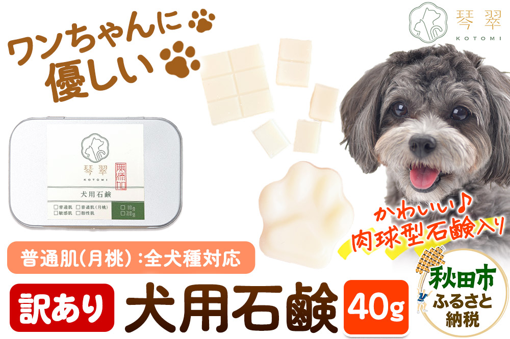 【訳あり】ルベール の 犬用石鹸 【普通肌（月桃）】 40g 肉球型石鹸入り クロネコゆうパケット