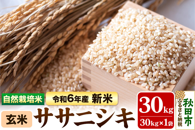 先行予約 令和6年産 新米〉自然栽培米「ササニシキ」玄米 30kg 天日干し 農薬・肥料不使用: 秋田市ANAのふるさと納税