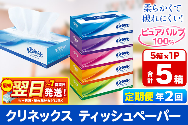 《6ヶ月ごとに2回お届け》定期便  ティッシュペーパー クリネックス ティシュー 5箱×1パック 秋田市オリジナル 最短翌日発送