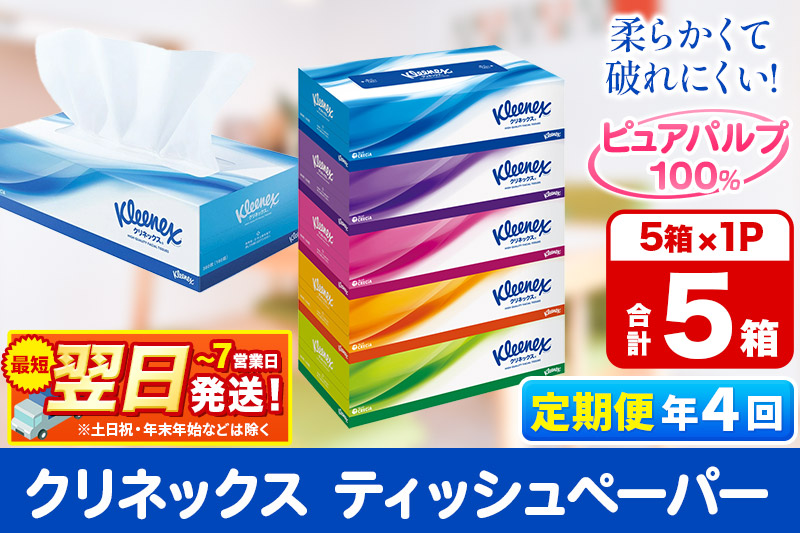《3ヶ月ごとに4回お届け》定期便  ティッシュペーパー クリネックス ティシュー 5箱×1パック 秋田市オリジナル 最短翌日発送