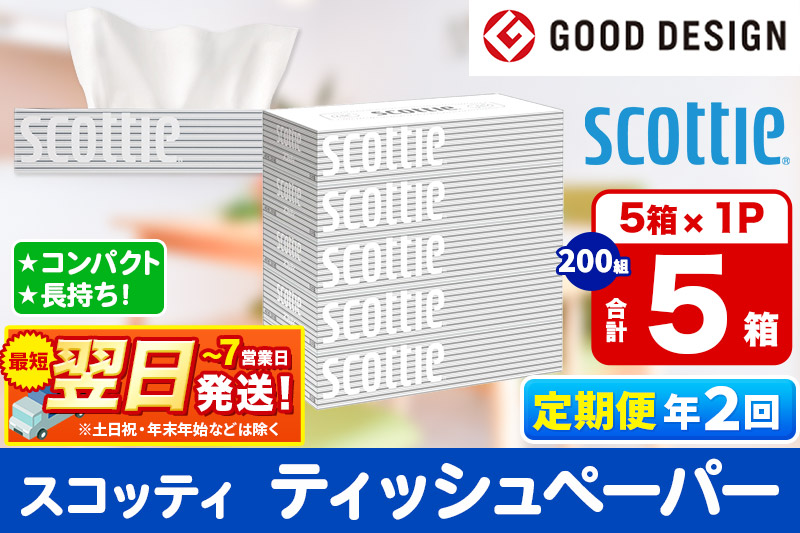 《6ヶ月ごとに2回お届け》定期便  ティッシュペーパー スコッティ ティシュー 5箱×1パック 秋田市オリジナル 最短翌日発送
