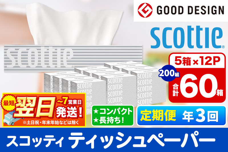 《4ヶ月ごとに3回お届け》定期便 ティッシュペーパー スコッティ 200組 60箱(5箱×12パック) ティッシュ 最短翌日発送