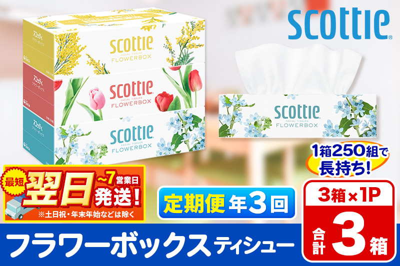 《4ヶ月ごとに3回お届け》定期便  ティッシュペーパー スコッティ ティシュー フラワーボックス 250組 3箱パック×1パック 秋田市オリジナル 最短翌日発送