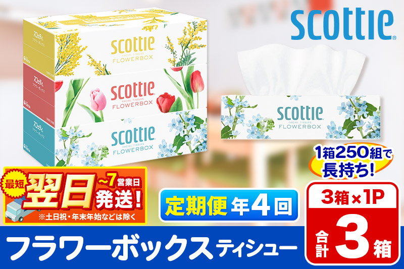 《3ヶ月ごとに4回お届け》定期便  ティッシュペーパー スコッティ ティシュー フラワーボックス 250組 3箱パック×1パック 秋田市オリジナル 最短翌日発送