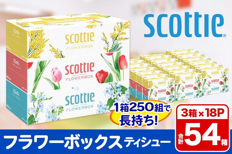 ティッシュペーパー スコッティ フラワーボックス250組 54箱(3箱×18パック)  日用品