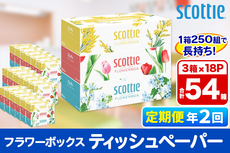 《6ヶ月ごとに2回お届け》定期便 ティッシュペーパー スコッティ フラワーボックス250組 54箱(3箱×18パック)