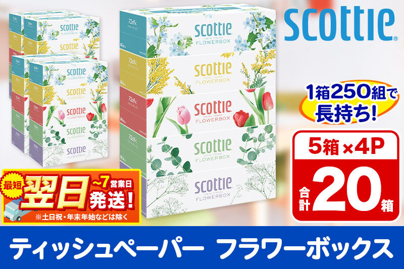 最短翌日発送ティッシュペーパー スコッティ フラワーボックス250組 20箱(5箱×4パック) ティッシュ 秋田市オリジナル  最短翌日発送 新生活