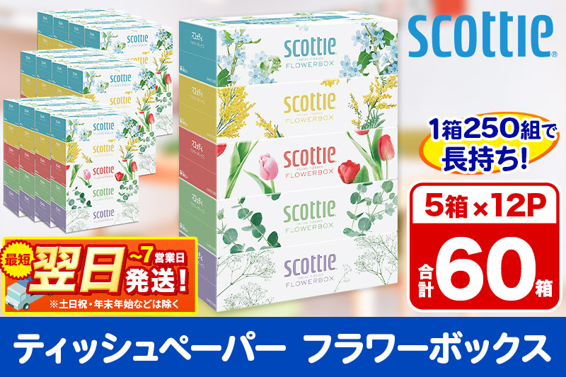 ティッシュペーパー スコッティ フラワーボックス250組 60箱(5箱×12パック) ティッシュ 日用品  最短翌日発送