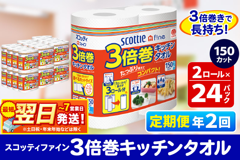 《6ヶ月ごとに2回お届け》定期便 キッチンペーパー スコッティ ファイン 3倍巻キッチンタオル 150カット 2ロール×24パック 最短翌日発送