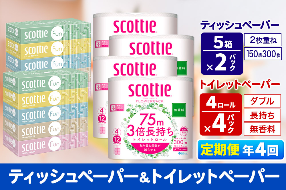 《3ヶ月ごとに4回お届け》定期便 ティッシュペーパー スコッティ ファン 150組 5箱×2パック ＆ スコッティトイレットペーパー ダブル 無香料 3倍長持ち4ロール×4パック 秋田市オリジナル