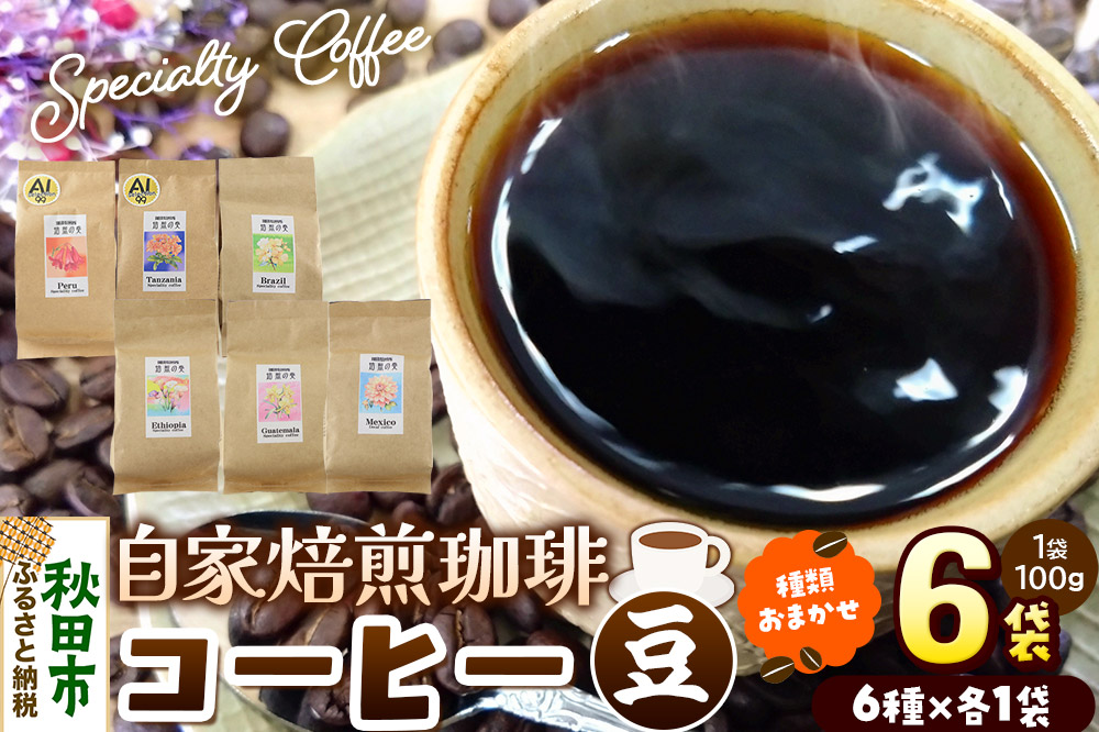 コーヒー 自家焙煎珈琲 豆 100g×おまかせ6種セット 計600g スペシャリティコーヒー