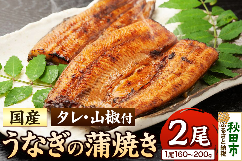 うなぎ うなぎ蒲焼き 160～200g× 2尾 (タレ・山椒付き) 仕出しのせきや 鰻 土用の丑の日 国産