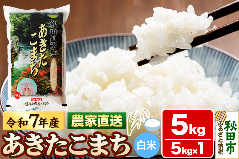 米 あきたこまち 5kg 令和7年産 白米 田口商店 農家直送 秋田県産